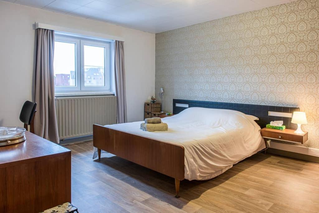 Vakantiewoning In Mol Centrum Met Eigen Bar "Casacuriosa" Bagian luar foto